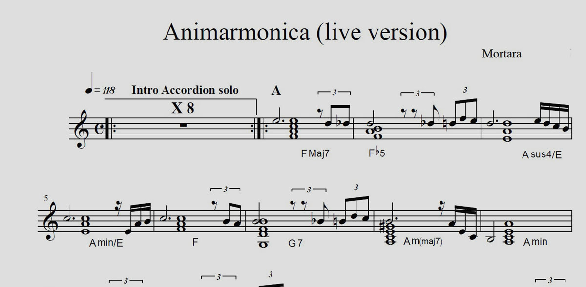 Animarmonica 